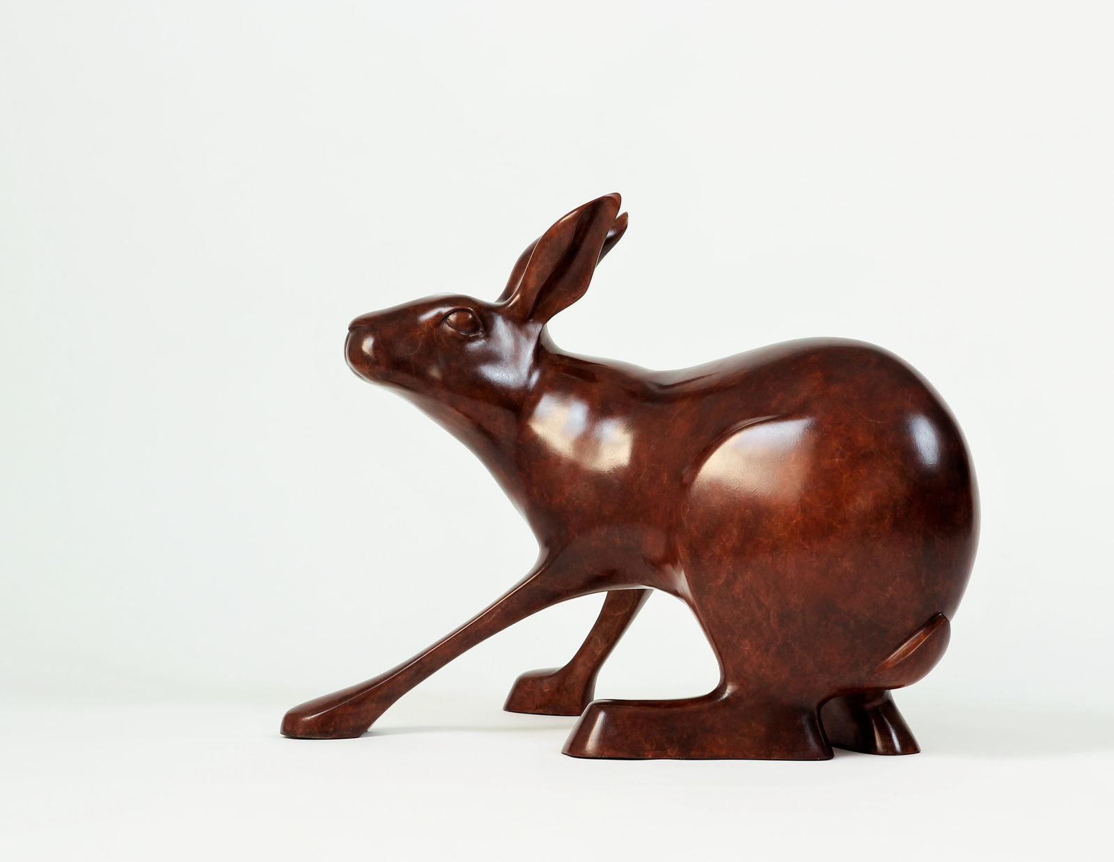 Peter Killeen, Brahmin Hare