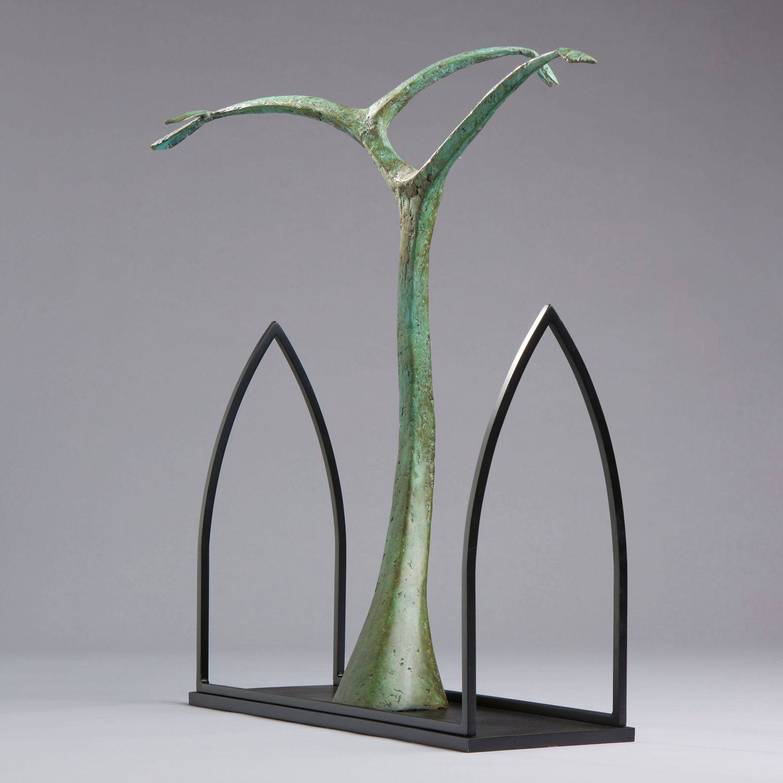 Peter Killeen, Abbey Tree