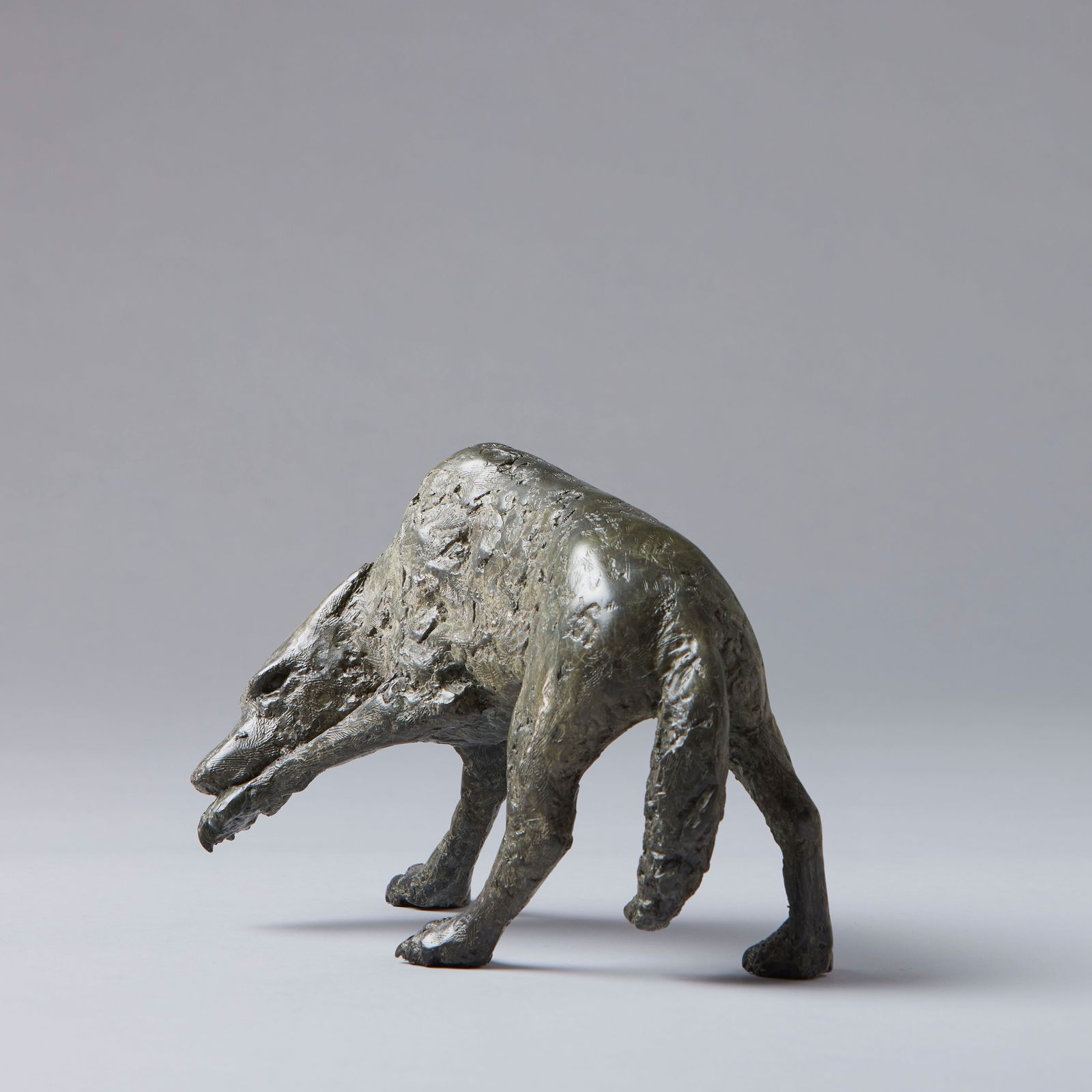 Peter Killeen, The Wolf That Bites its Paw