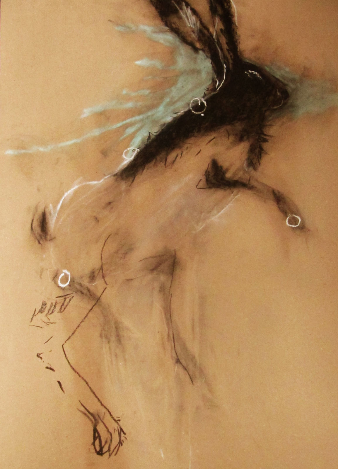 Margo Banks, Witch Hare 5