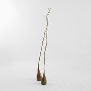 Eilis O'Connell RHA, Contort, 2013