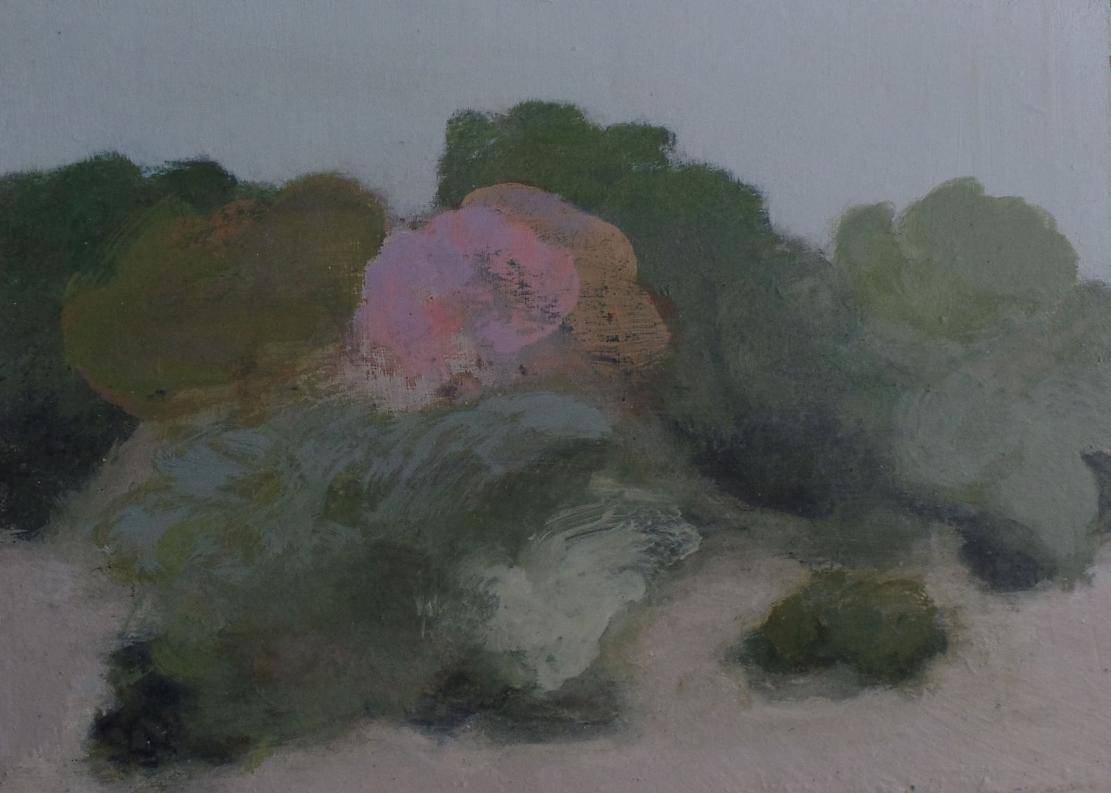 Clifford Collie, Field 2, Spain