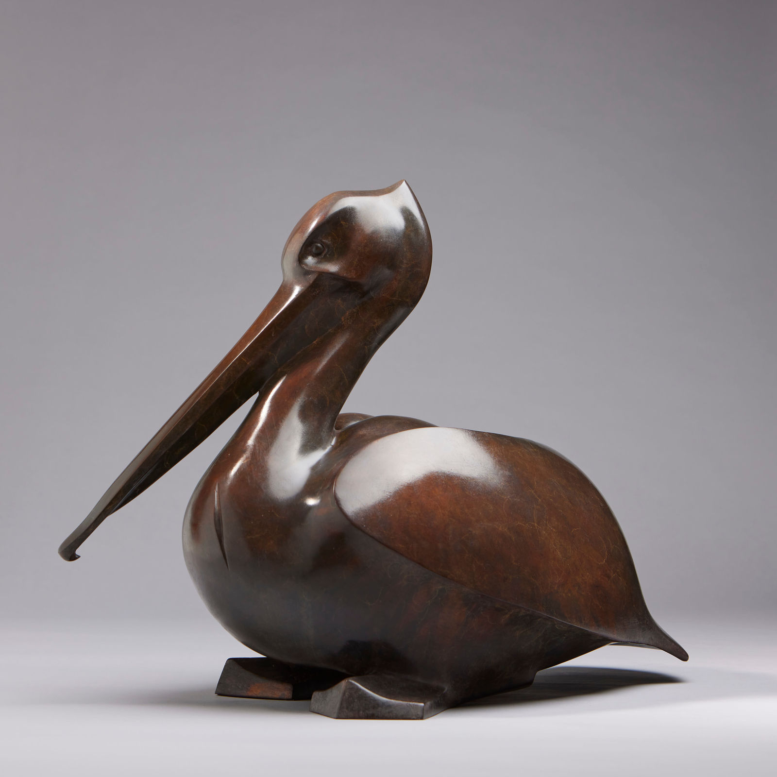 Peter Killeen, Pelican