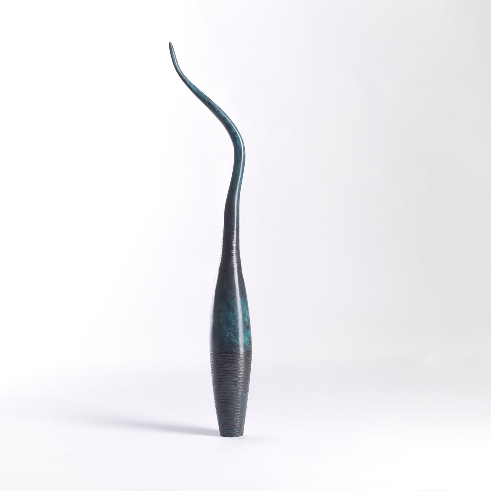 Eilis O'Connell RHA, Unlikely Monument Series - Single Antennae, 2010