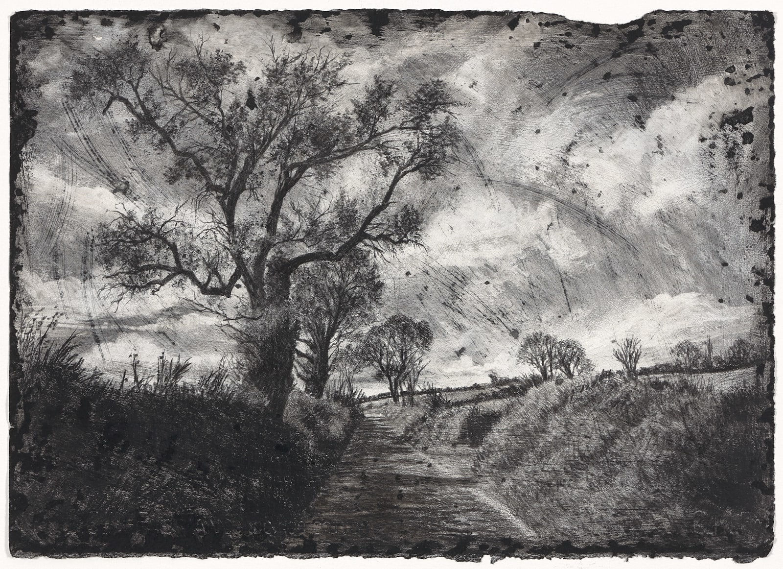 Michael Wann, Decorated Sky on the Road to Water, 2022