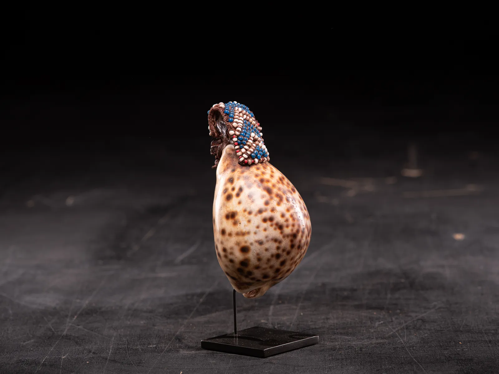 Kuba Artifact Shell-part of a Royal belt, DRC, 1st half 20th Century