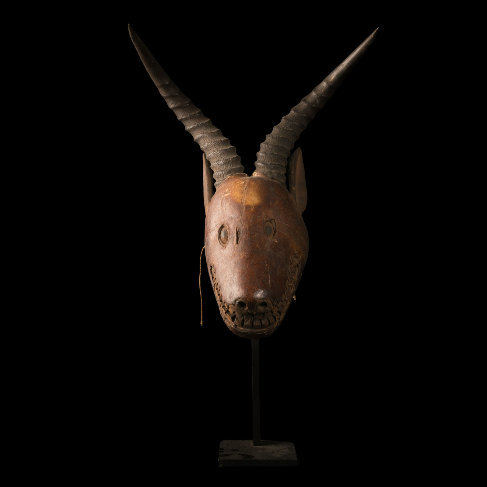 Skincovered Antilope Crest Mask, Ejagham People, Nigeria, 1st half 20th C