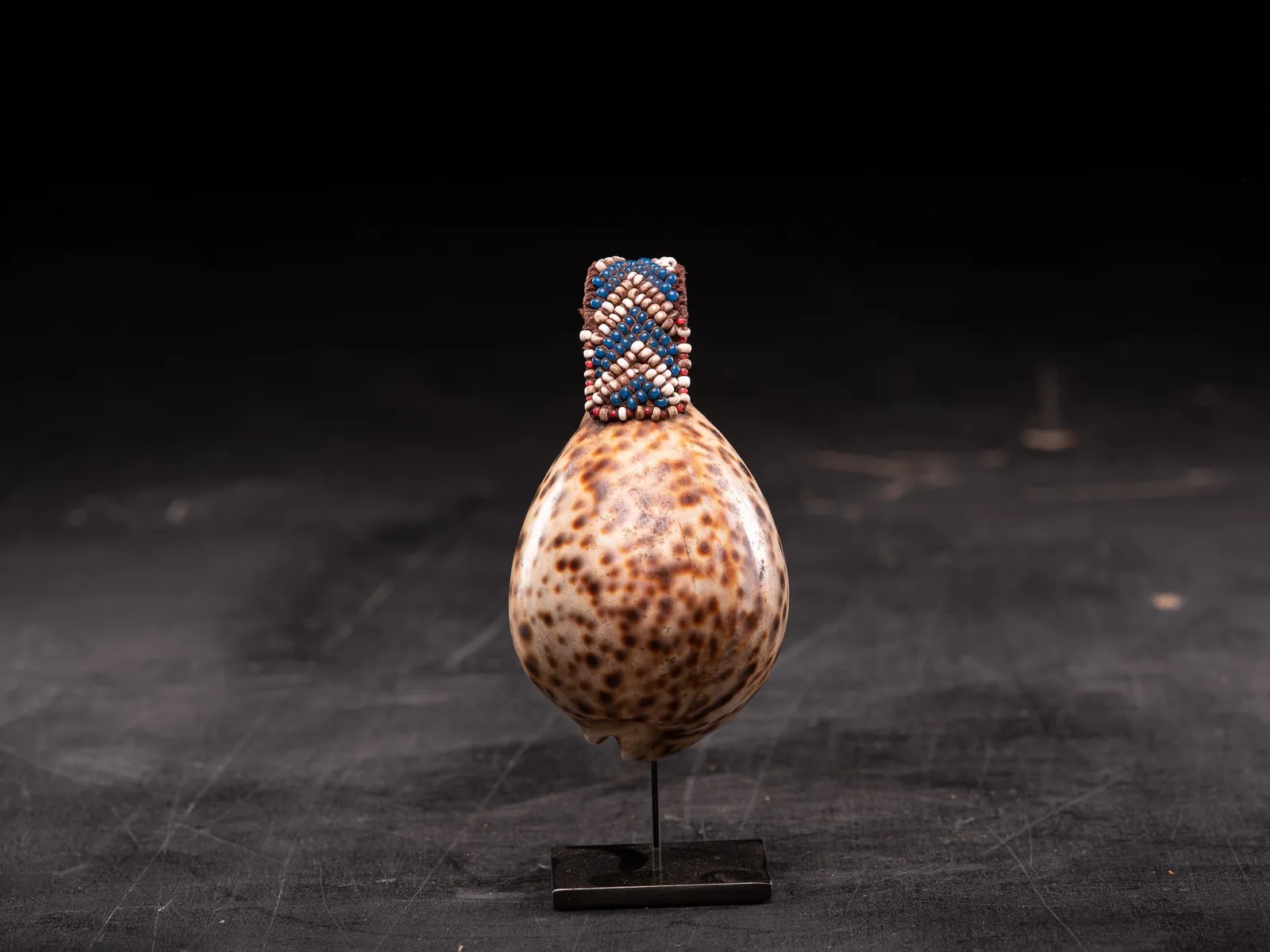 Kuba Artifact Shell-part of a Royal belt, DRC, 1st half 20th Century