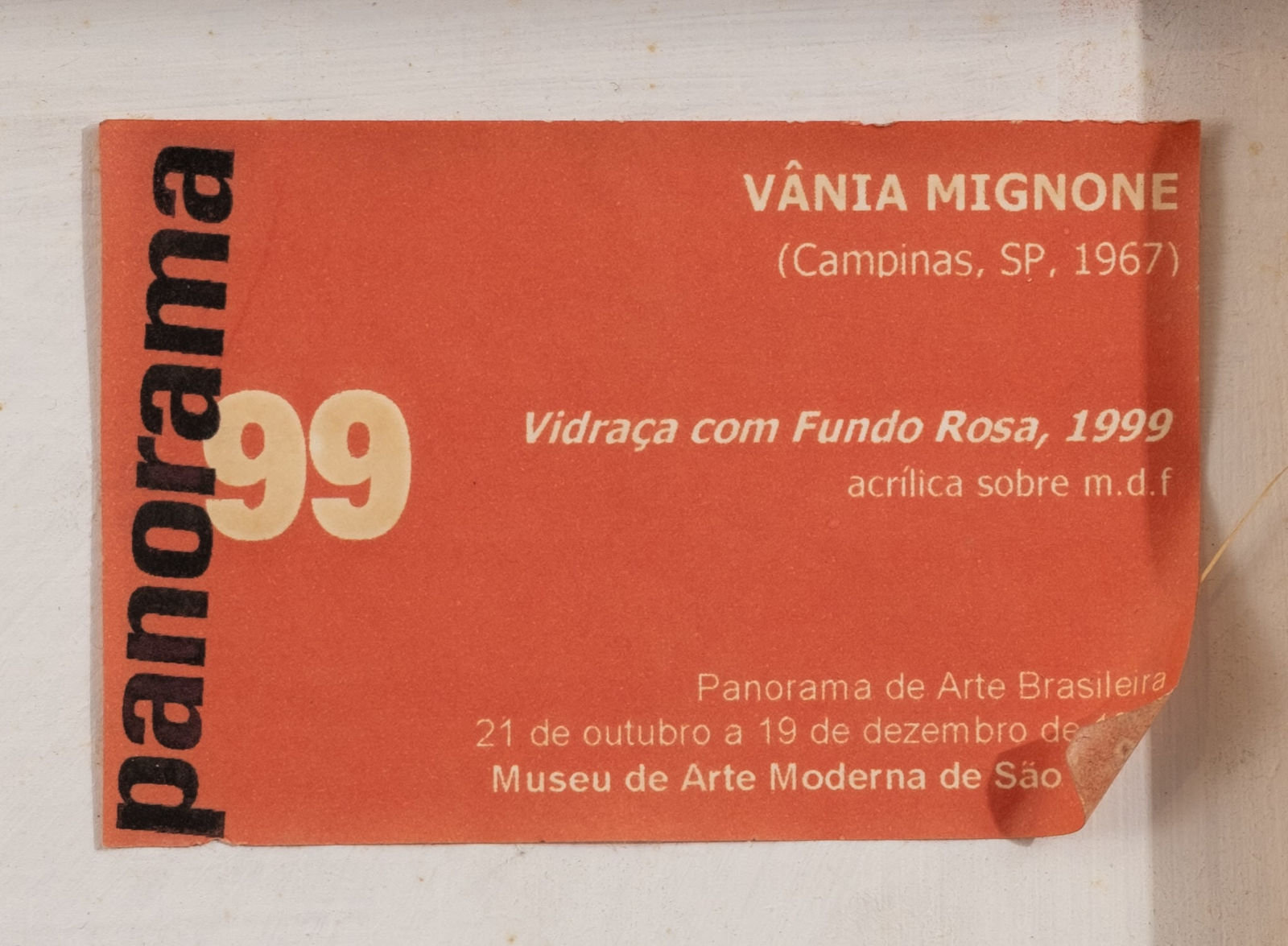 Vânia Mignone, Vidraça com Fundo Rosa, 1999