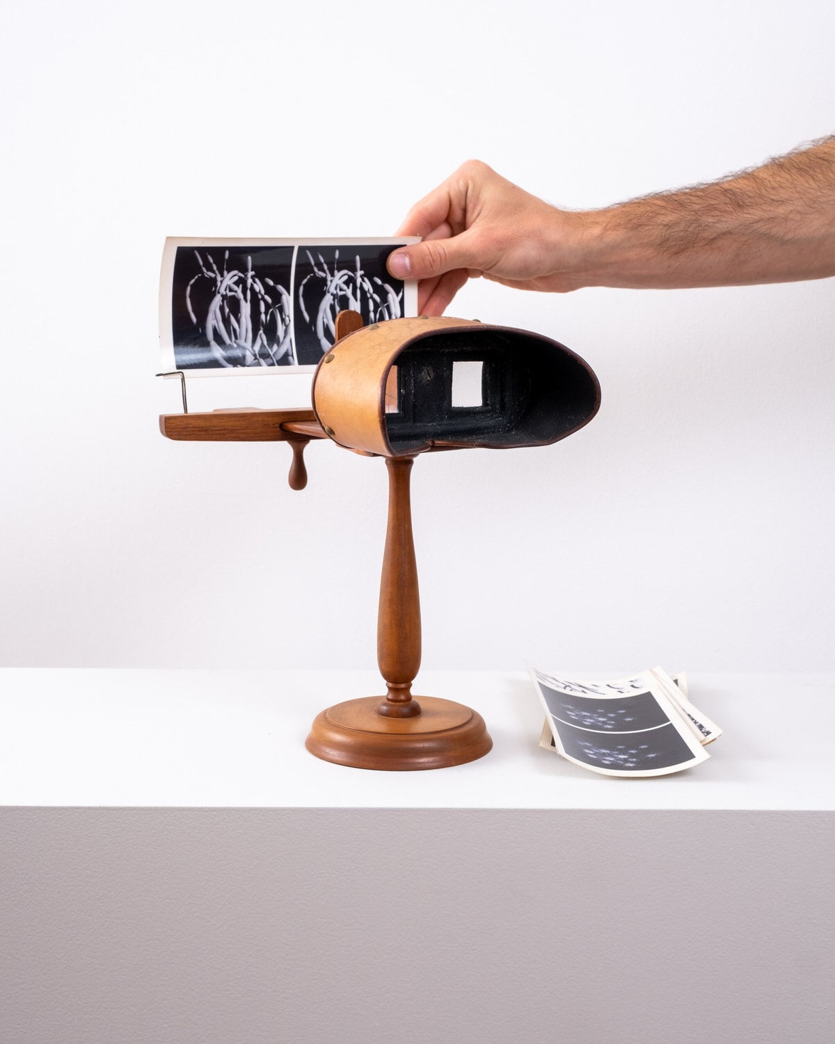 Vik Muniz, Principia, 1997/2002