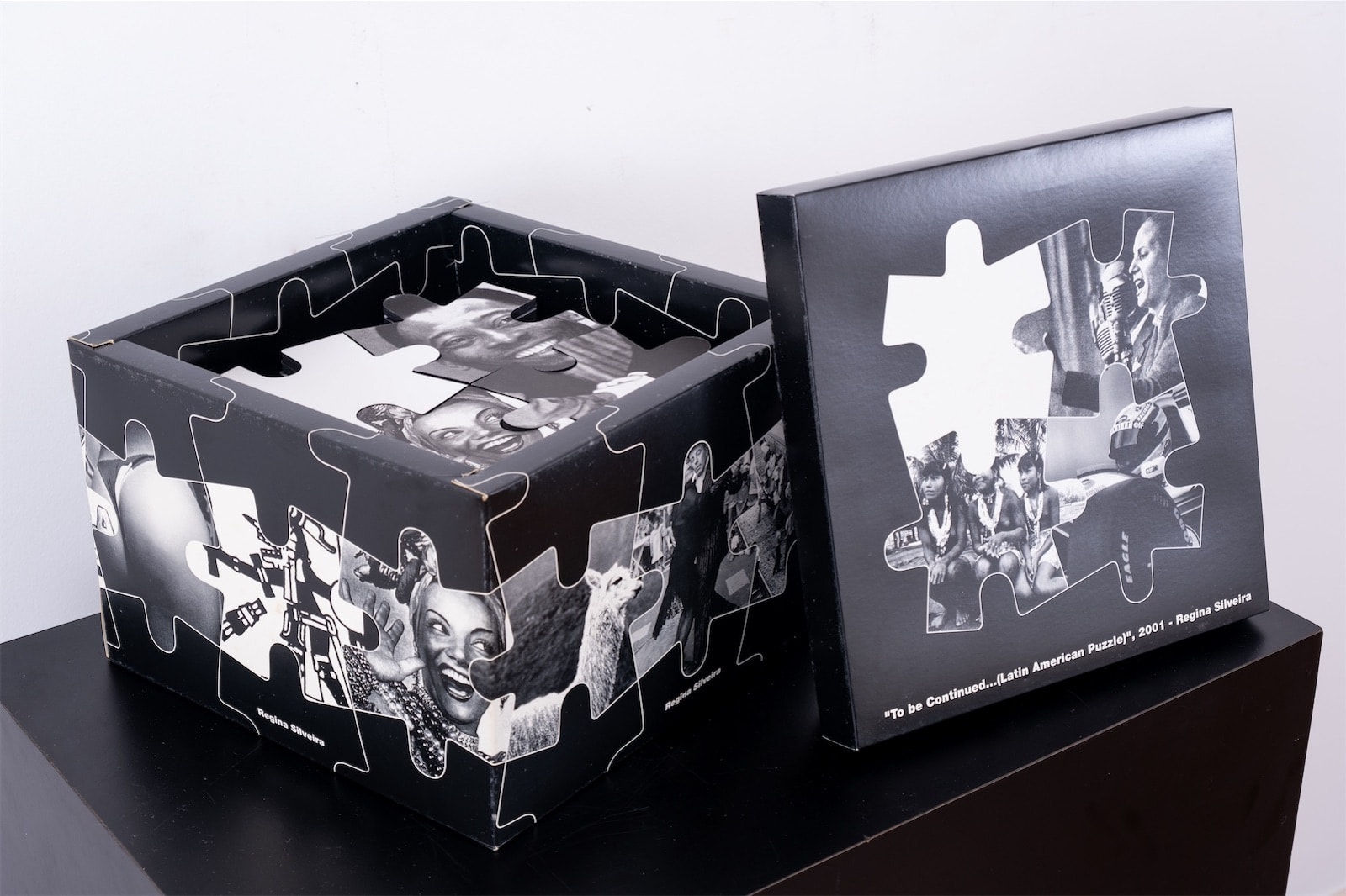 Regina Silveira, To be continued... (Latin America Puzzel), 2001