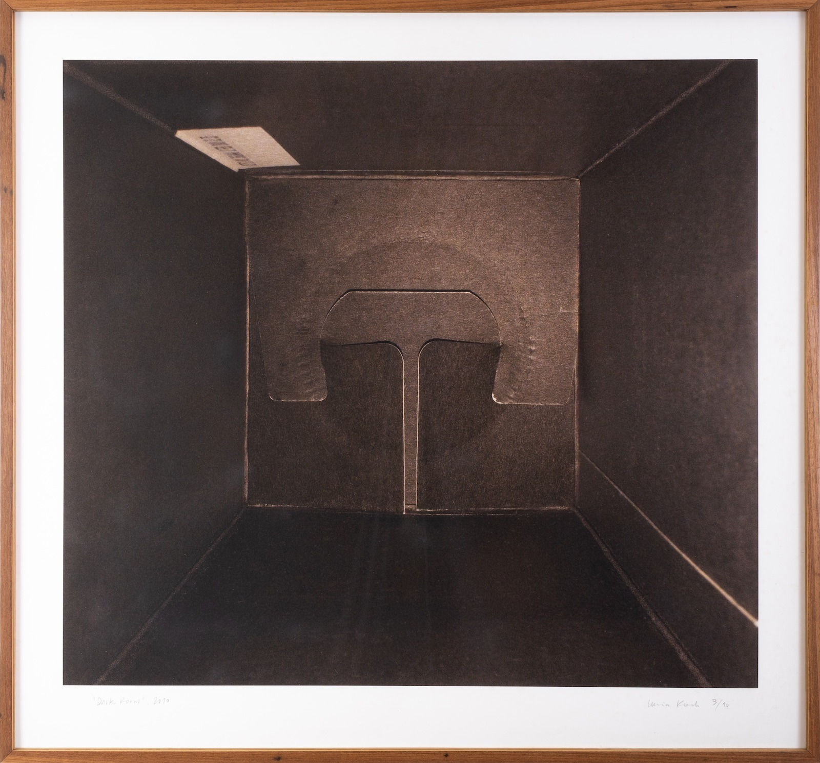 Lucia Koch, Dark Room, 2010