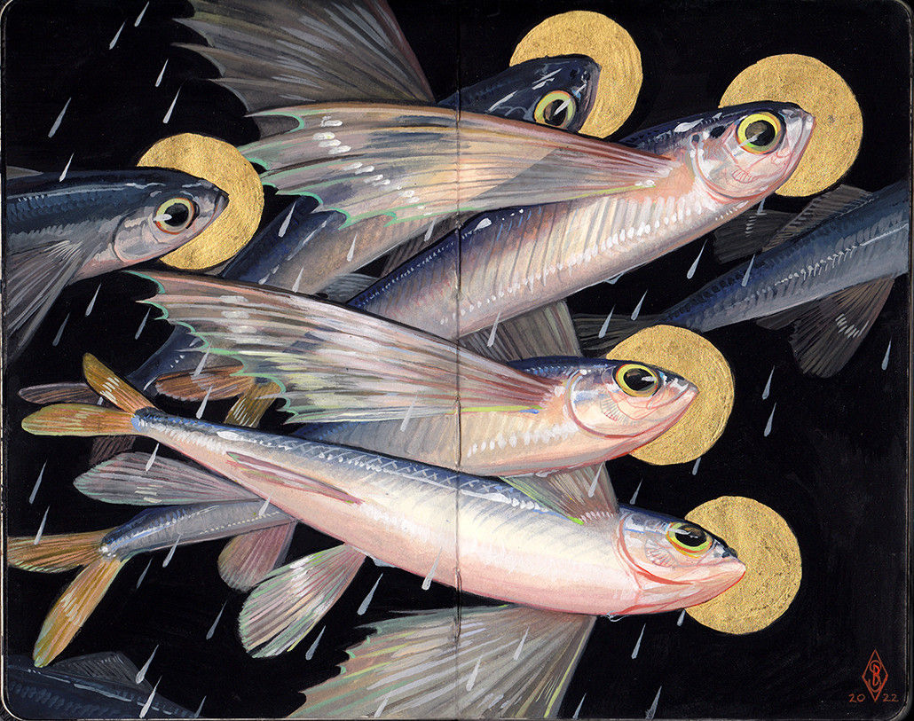 Painting of five flying fish with gold circle around their heads and drops of water falling from their wings on black background