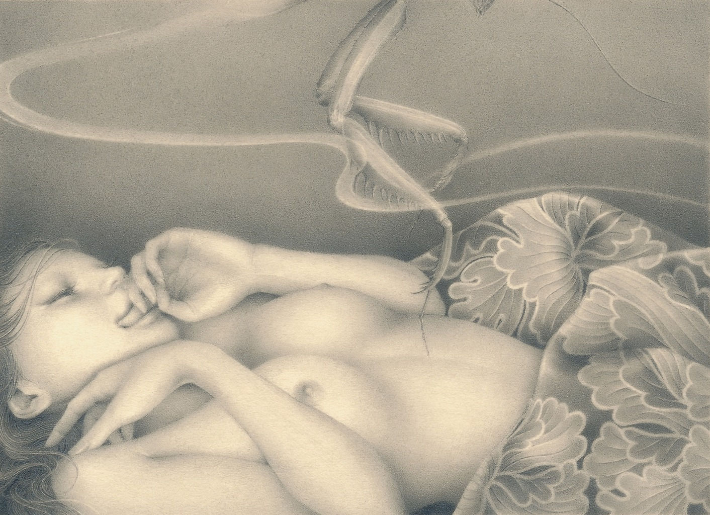 Ozabu, 堀川 (Horikawa), 2019