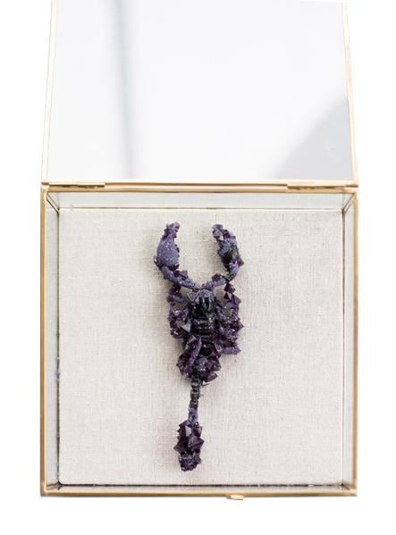 Tyler Thrasher, Amethyst Scorpion, 2017