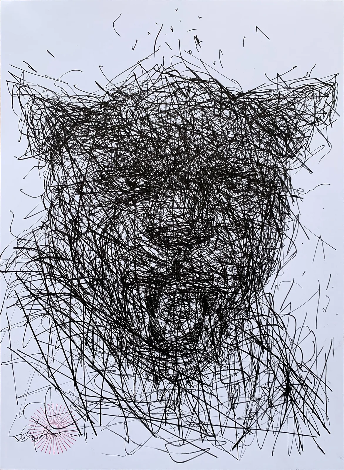 DALeast drawing of a lioness in ink on paper