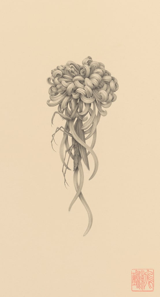 Ozabu, 暮れの菊 (Kure No Kiku), 2019