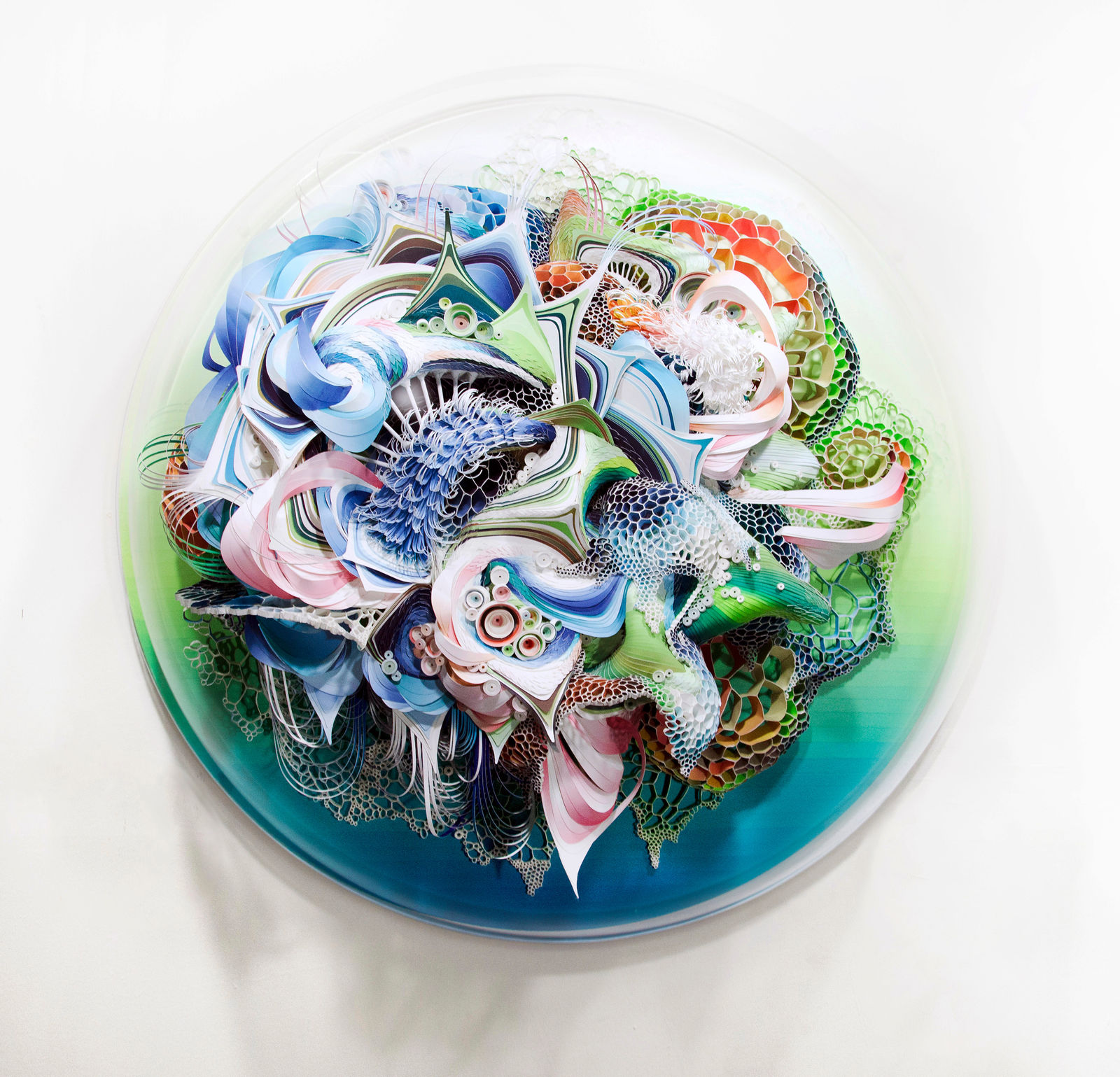 Crystal Wagner, Carpasinus