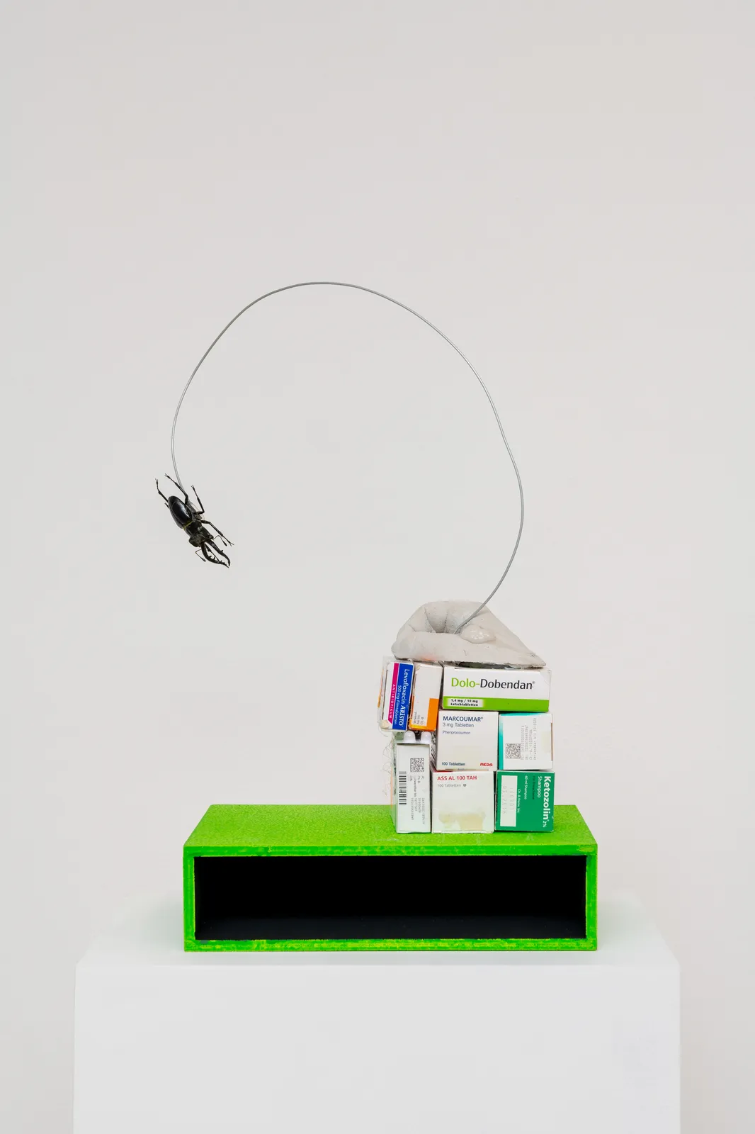 Gregor Schneider, Gooning 1, 2023