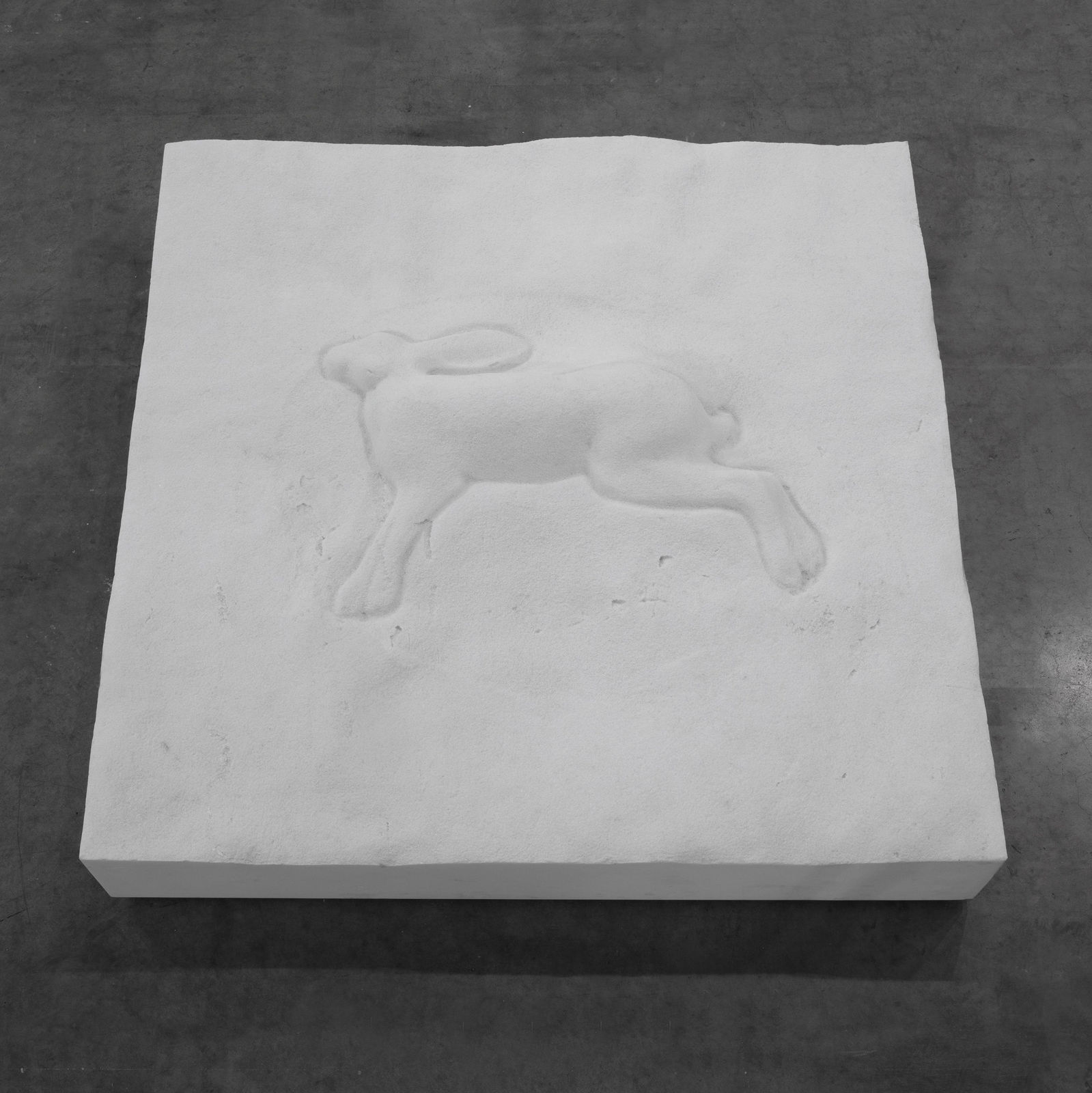 Mario Dellavedova, Lepre e Manto di neve, 2014