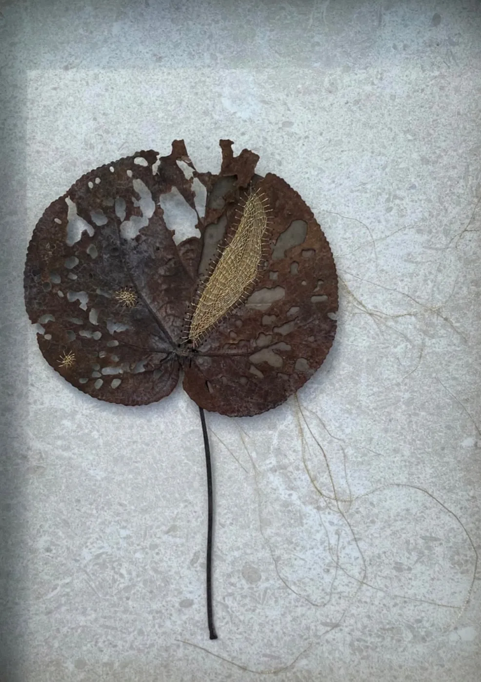 Alpana Vij, What do I see when I see a fallen leaf?, 2022