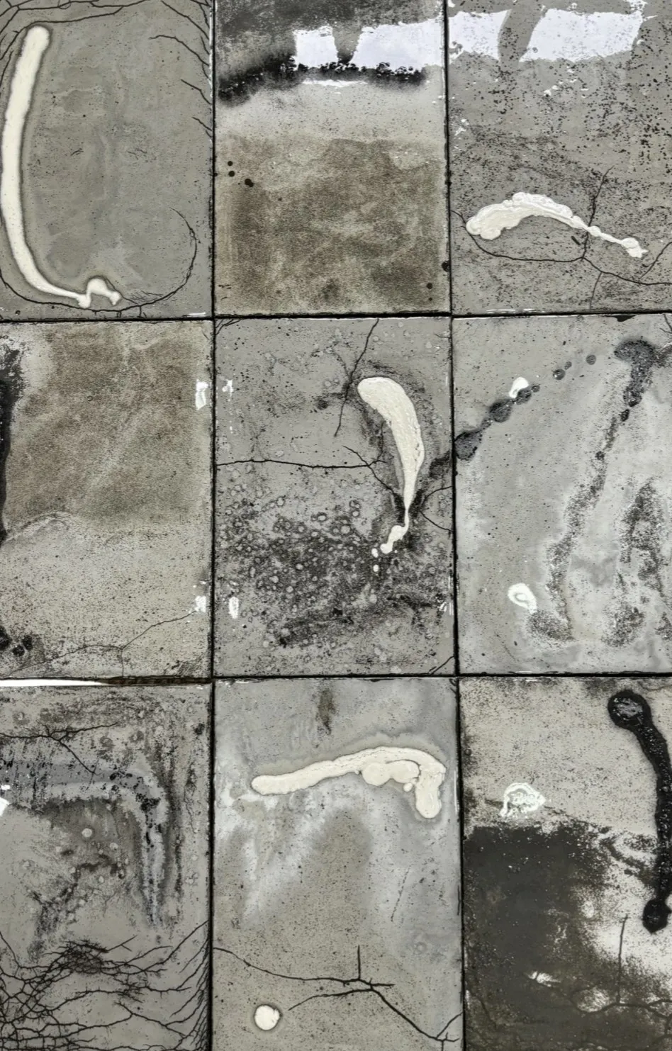 Alpana Vij, Terra - 1, 2024