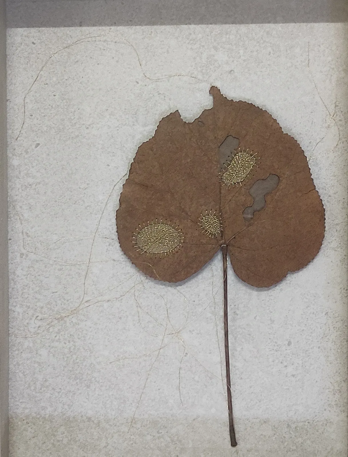 Alpana vij, What do I see when I see a fallen leaf ?, 2024