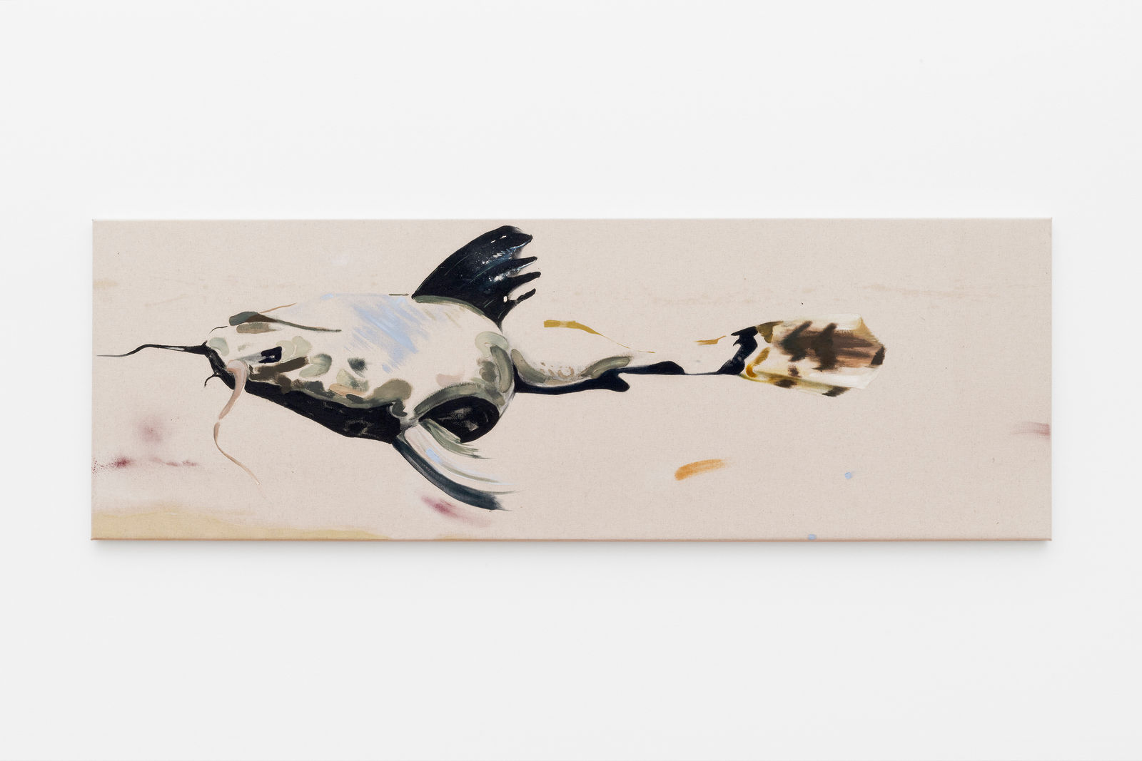 Anna Zacharoff, Baujos Break, 2025