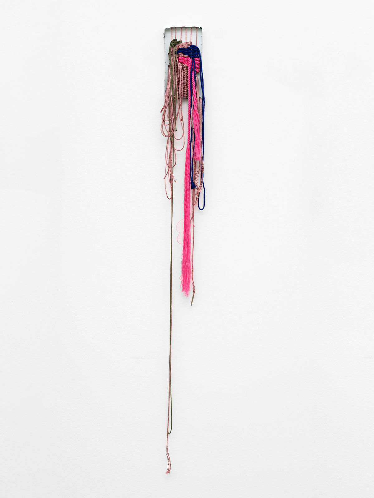 Ann Cathrin November Høibo, Hvis verden spør, så er svaret nei #10, 2020