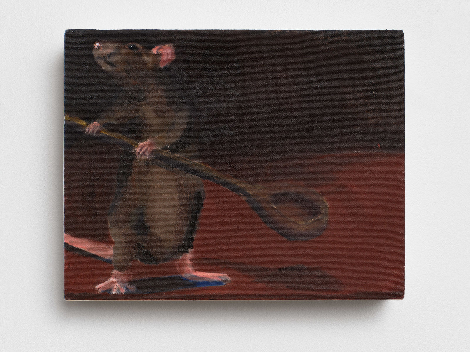 Mikael Lo Presti, Rat IV, 2024