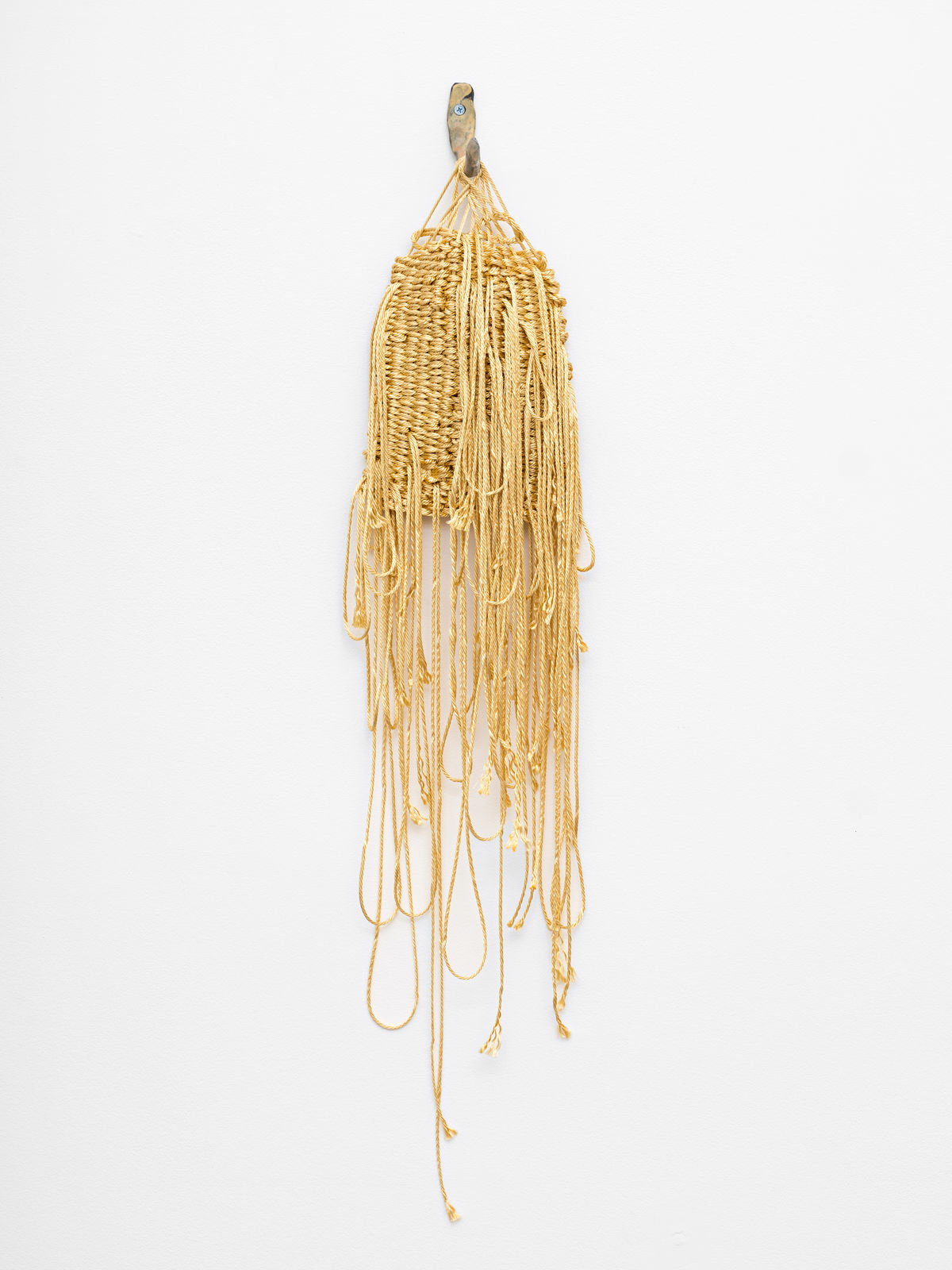 Ann Cathrin November Høibo, Hvis verden spør, så er svaret nei #13, 2020