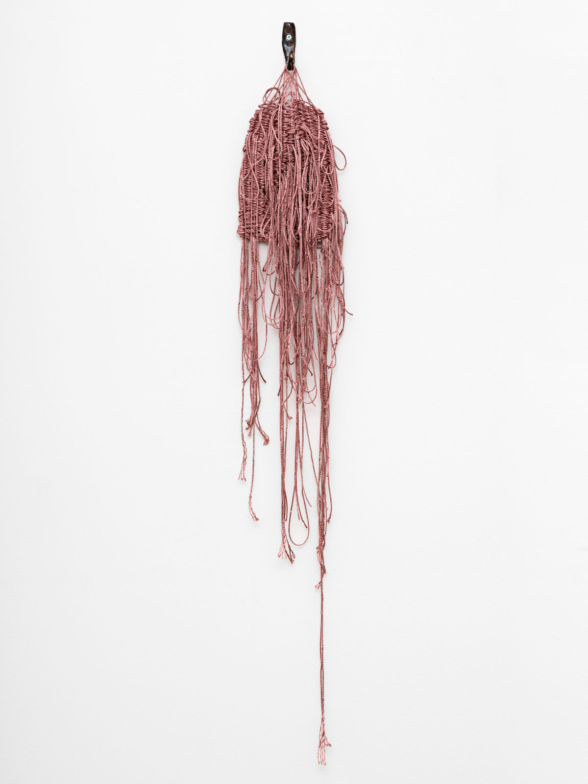 Ann Cathrin November Høibo, Hvis verden spør, så er svaret nei #9, 2020