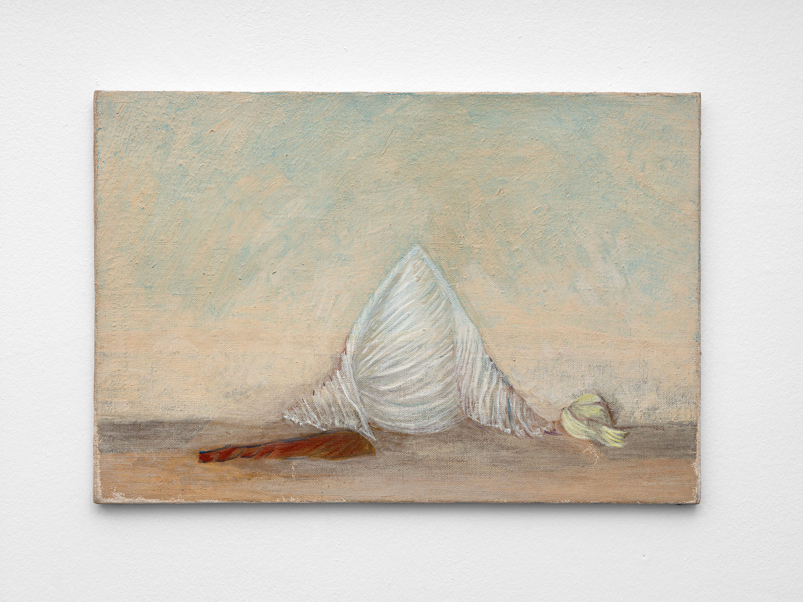 Simona Runcan, Conviețuiri silențioase / Silent Cohabitations, Unknown