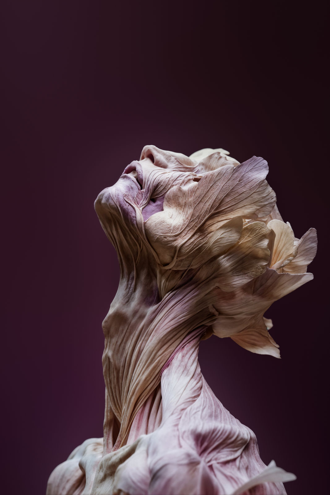 Roy Adin, Ascending, 2024