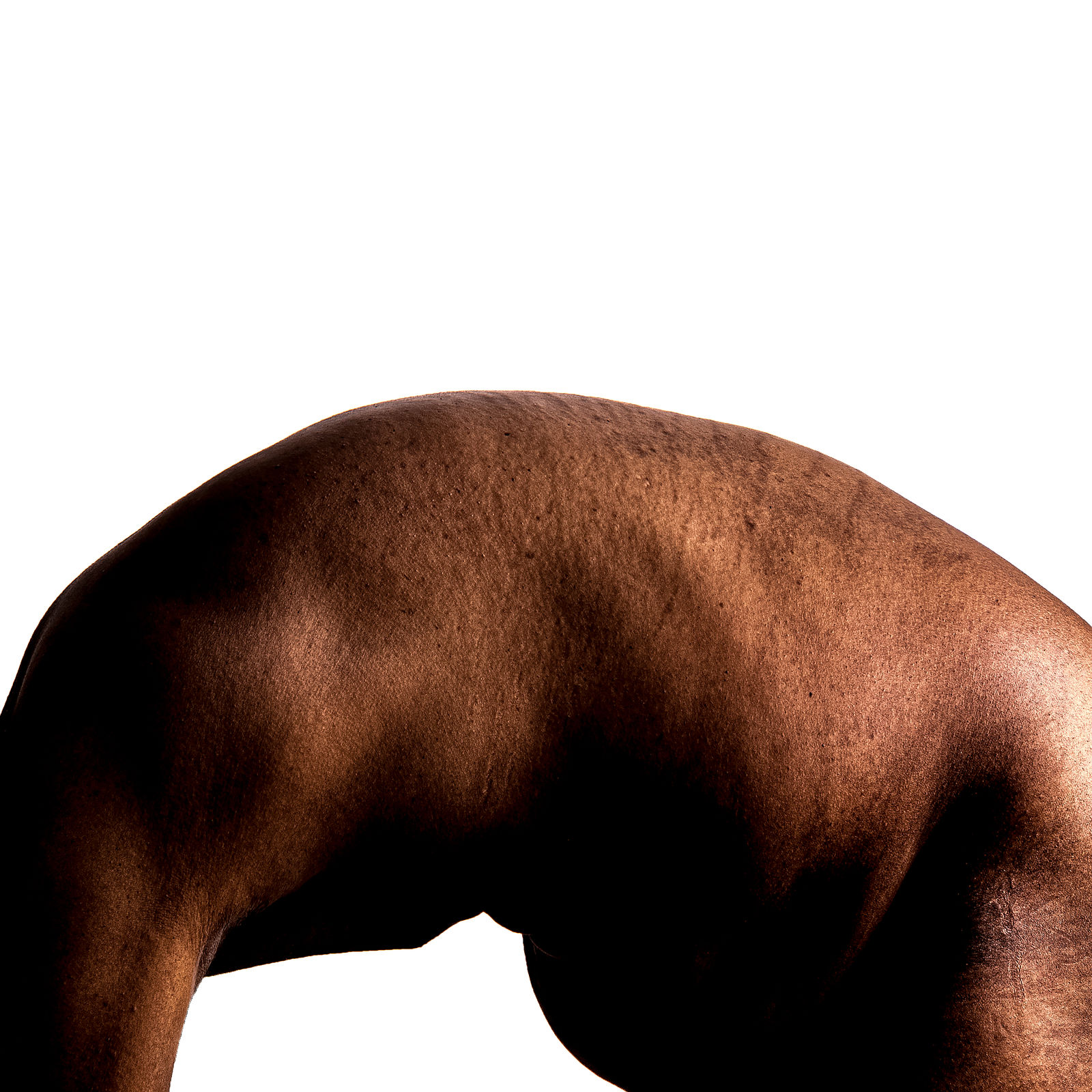 Ephraim Wasse, DYS-MOR-PHIC, 2023