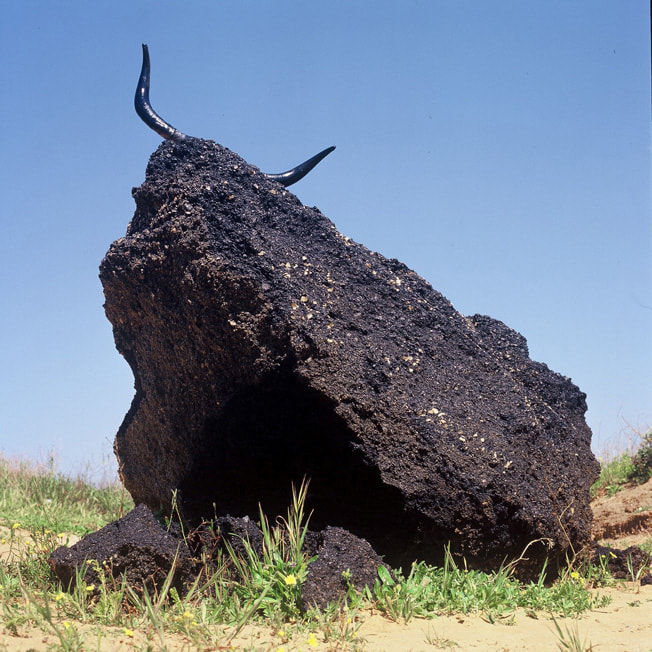 Sharon Glazberg, Tel Baruch, 2007