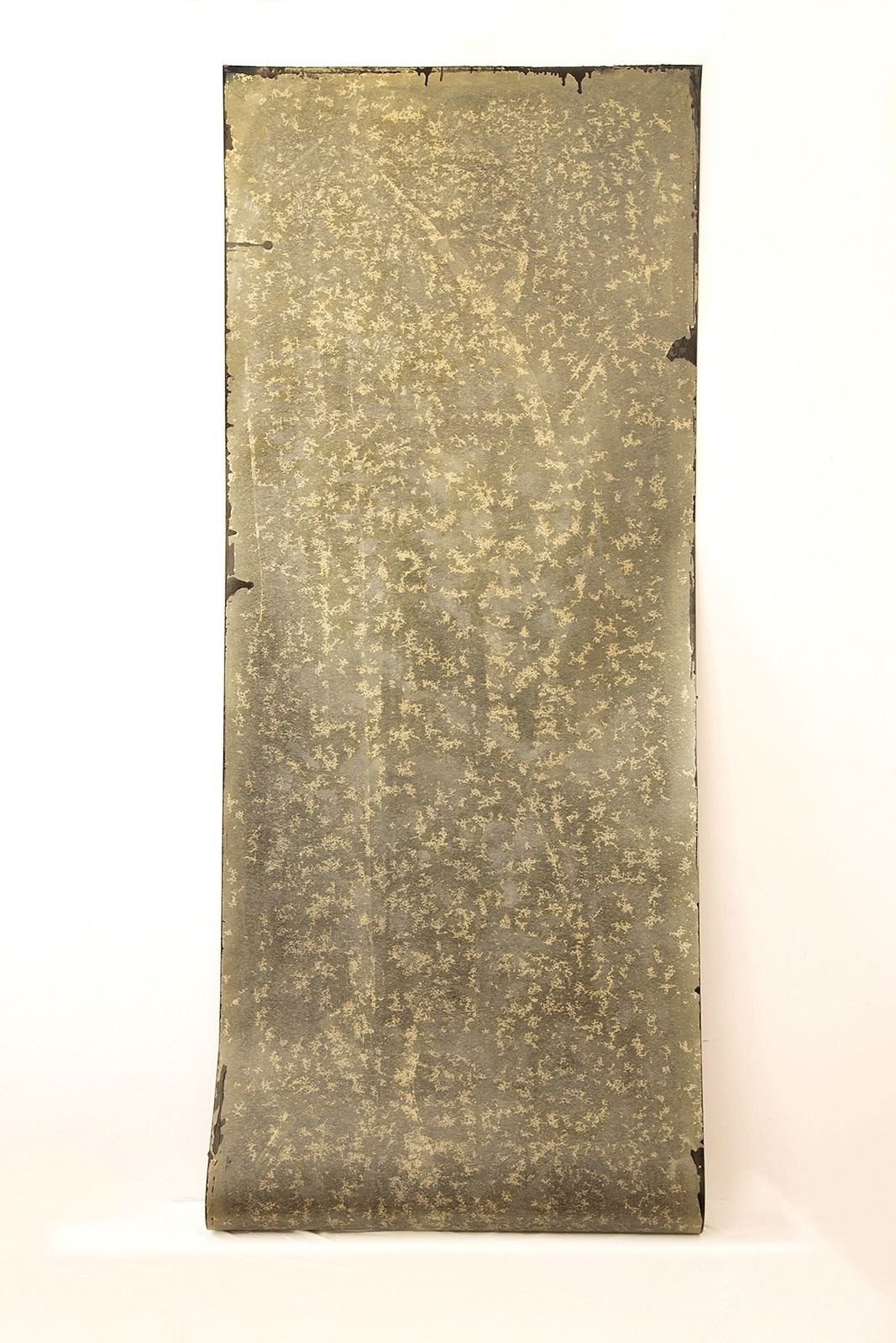 Hadar Pery, Untitled (fungi field), 2015