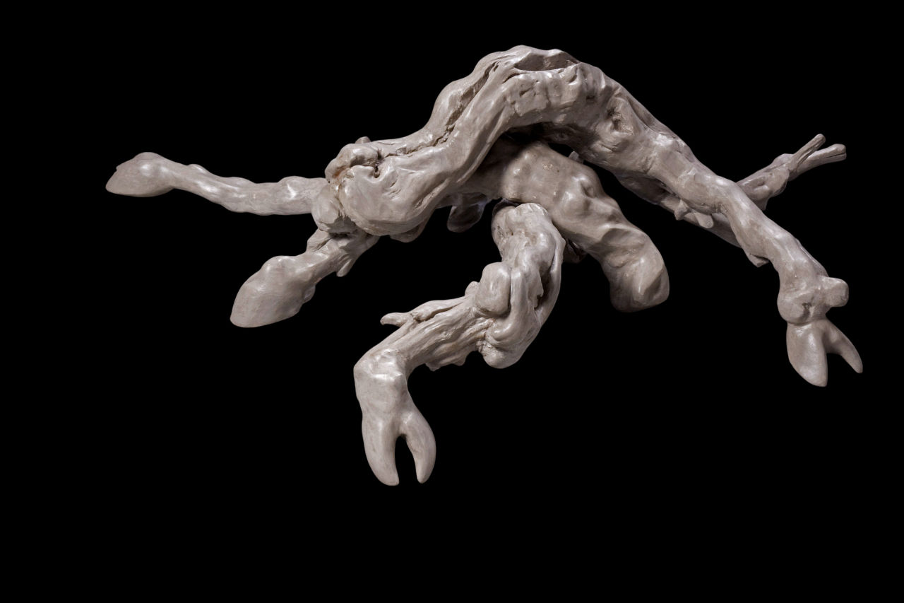 Sharon Glazberg, Hybrid #2, 2007