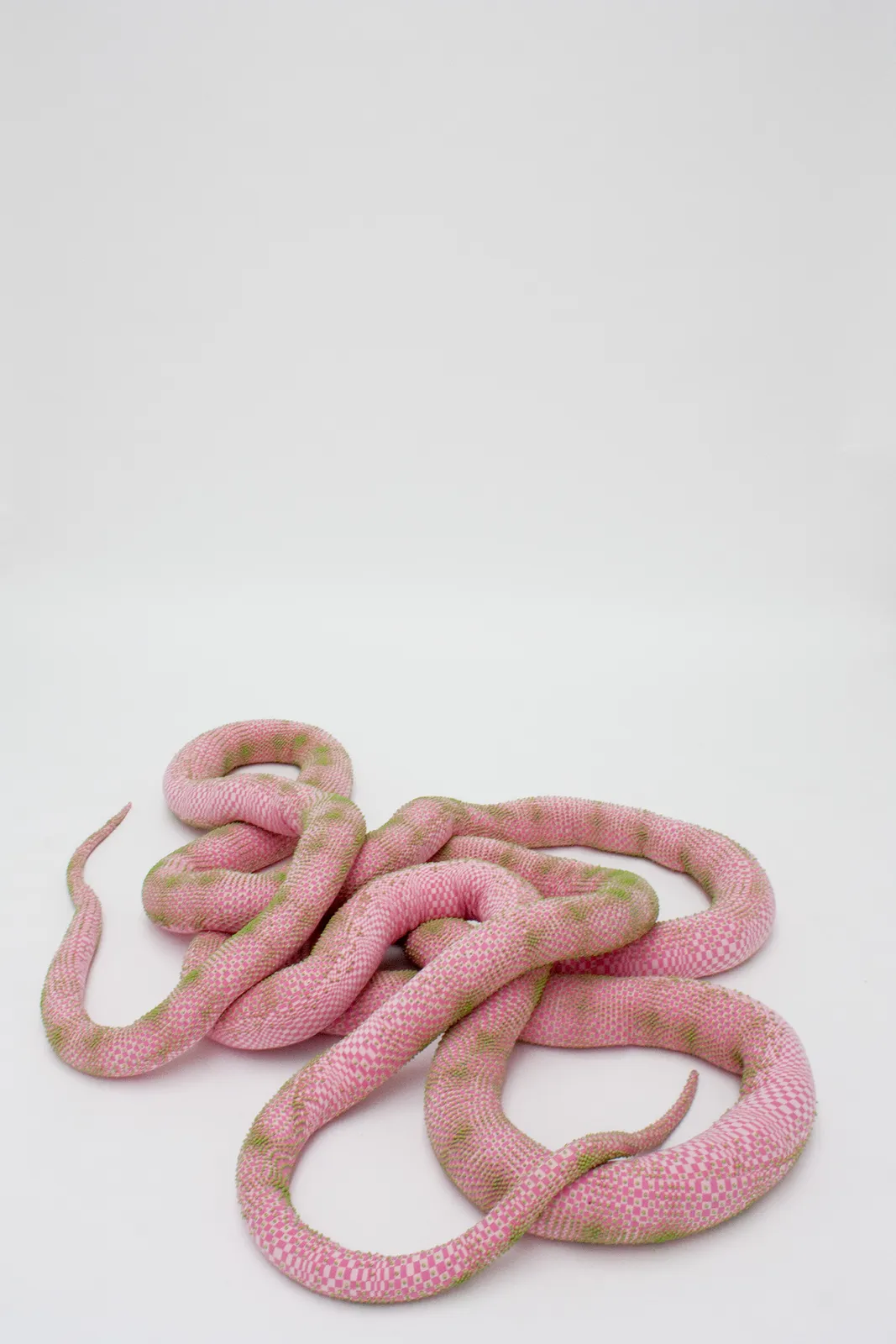 Lionel Estève, Green Pearls, Pink Vichy Snake, 2011