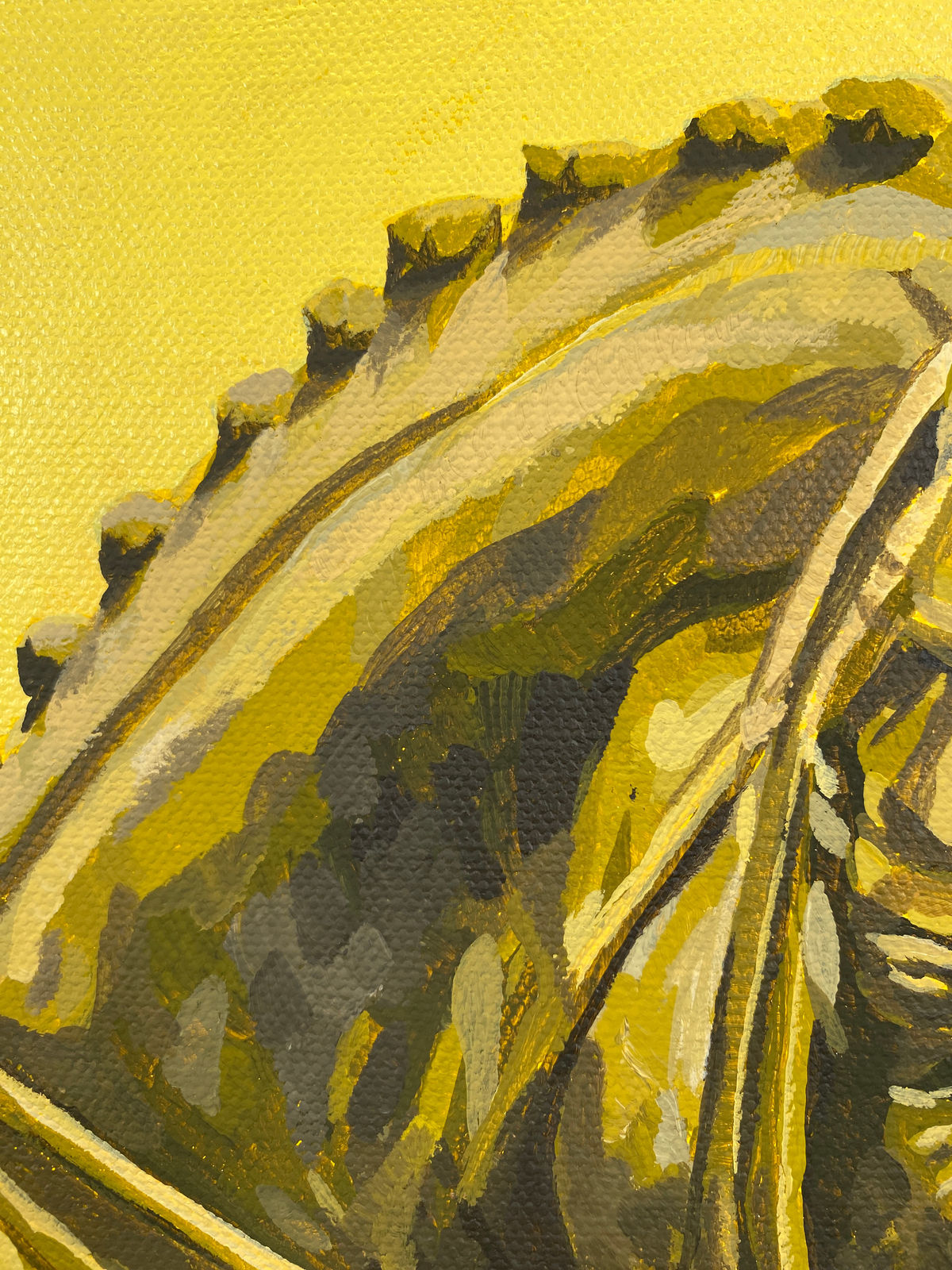 Keya Tama, Unseen Roads