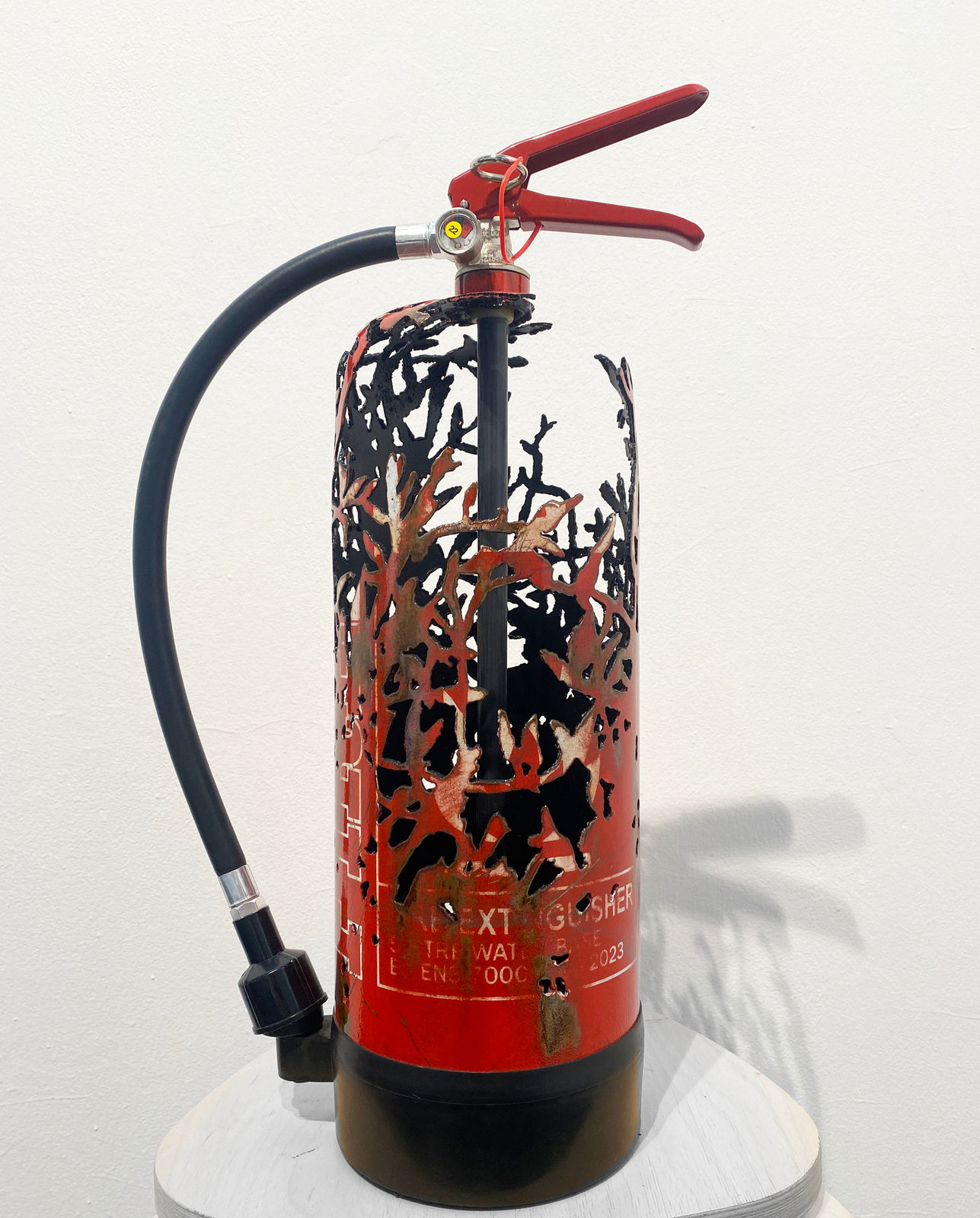 Dan Rawlings, Tight Weave, 2023