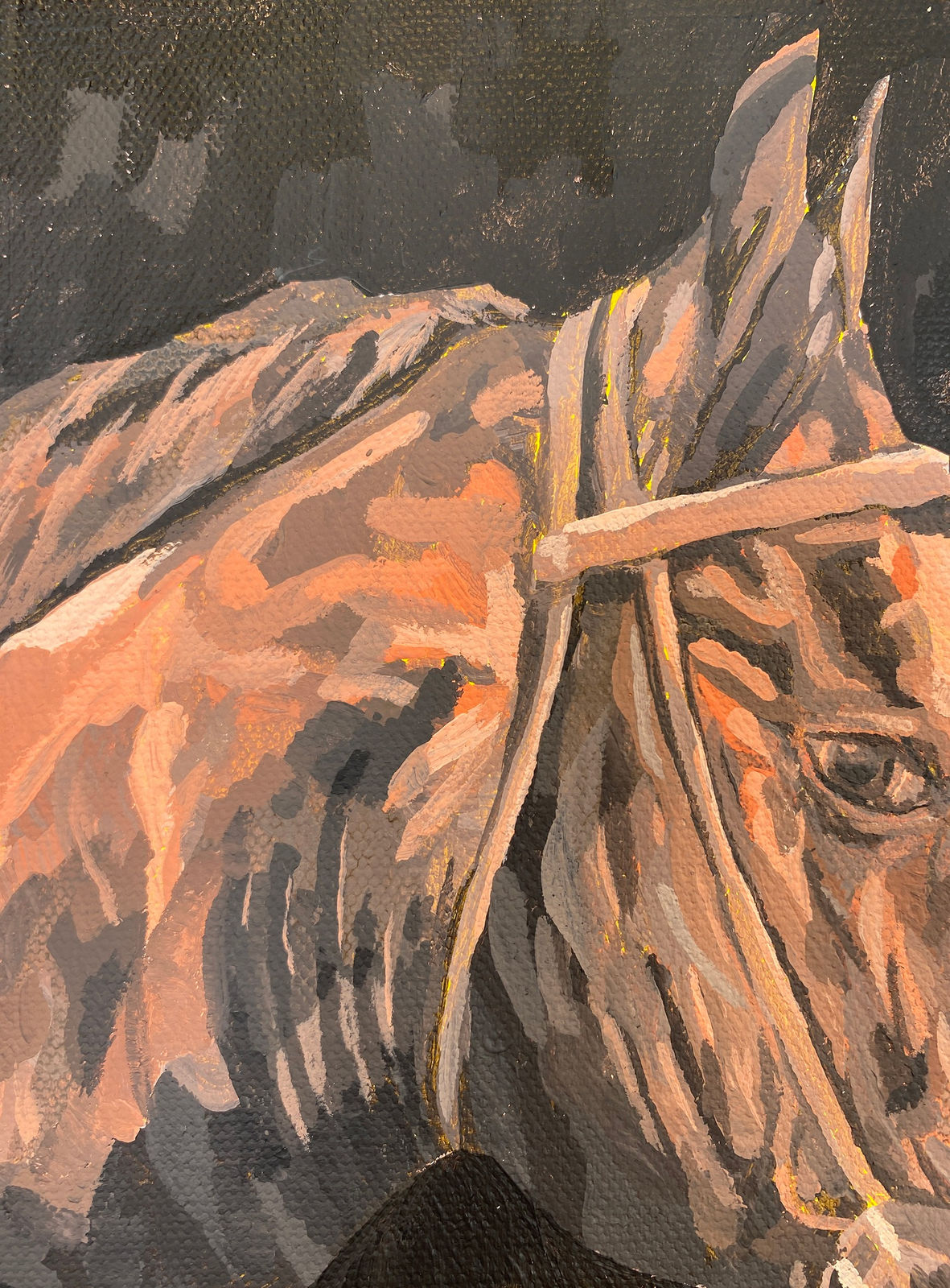 Keya Tama, The Familiar Stranger, 2025