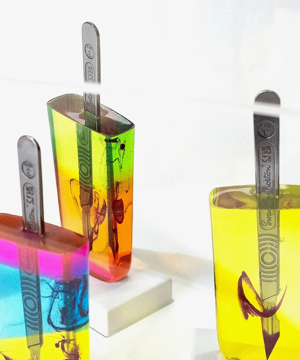 Miss Bugs, The Intensive Care Box, 2024