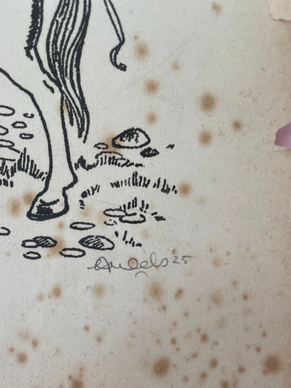 Ceal Warnants, Happily Never After, 2025