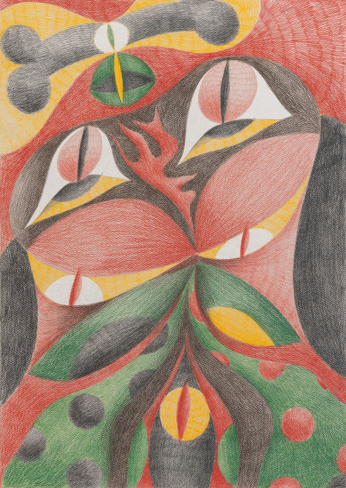 Love Curly, Stranger, 2021