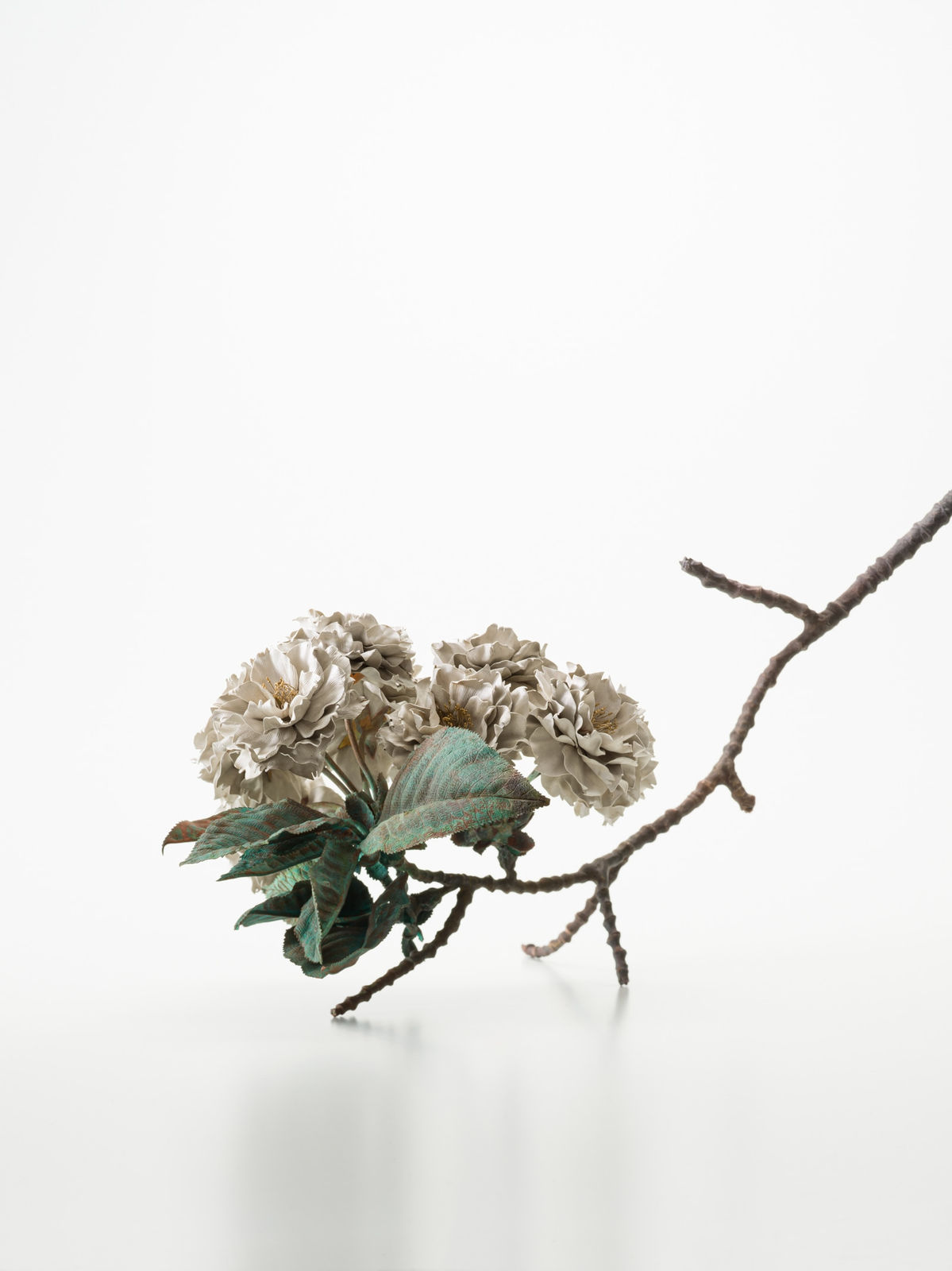 Shota Suzuki, The Double Cherry Blossoms (Shiogama type), 2024