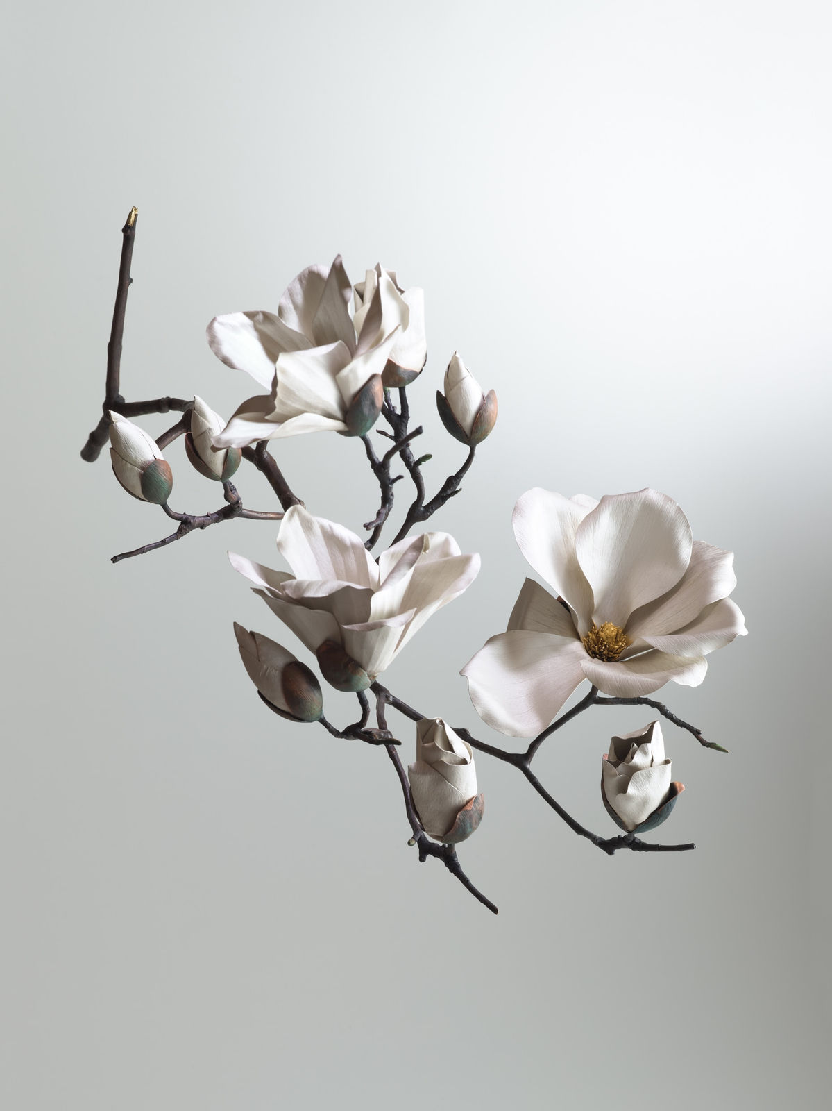 Shota Suzuki, Magnolia Branch (wall hanging), 2025