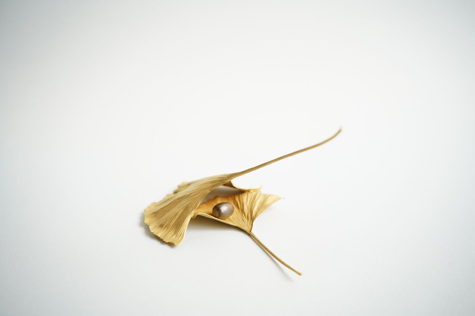 Shota Suzuki, The Ginkgo, 2025