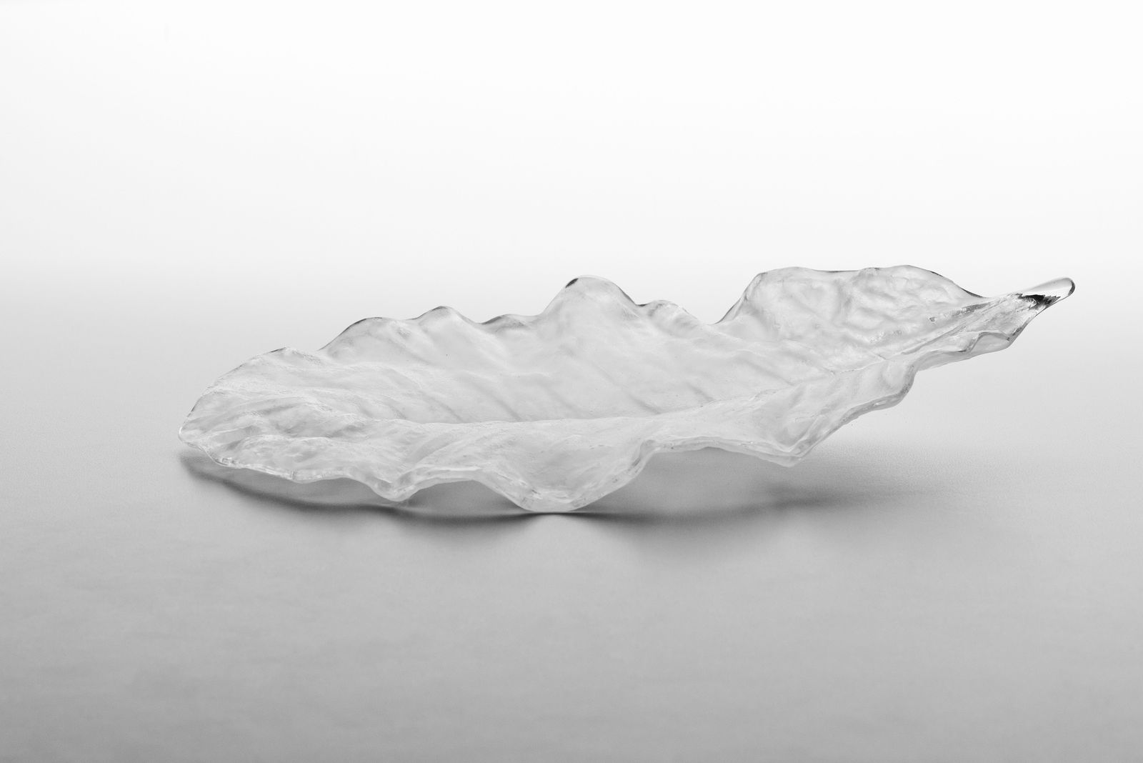 Satomi Den, Hoba leaf, 2024