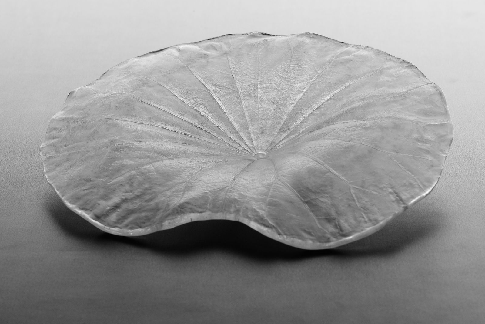 Satomi Den, Lotus, 2024